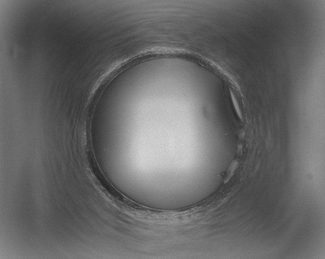 X0000052920015200507292338