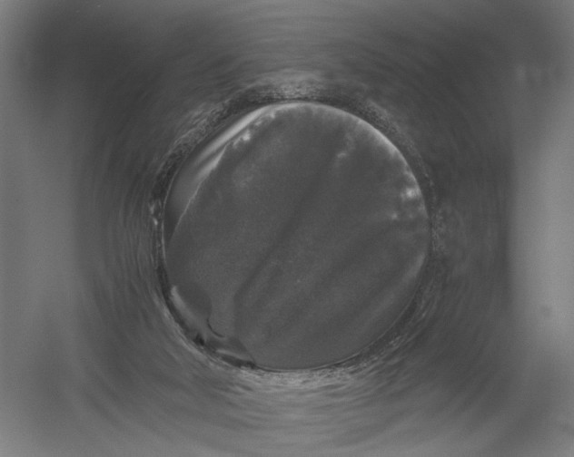X0000052920018200507292338