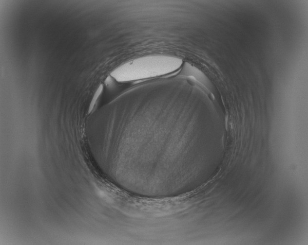X0000052920029200507292338