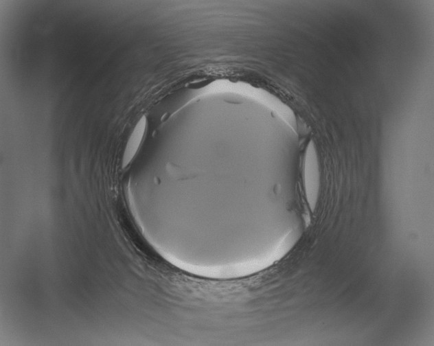 X0000052920031200507292338