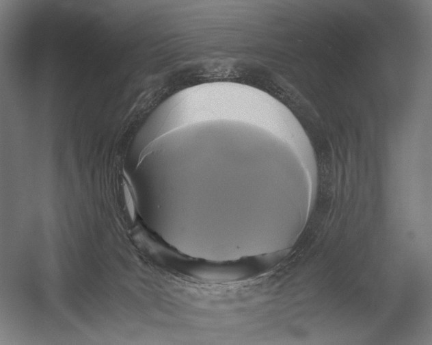X0000052920035200507292337