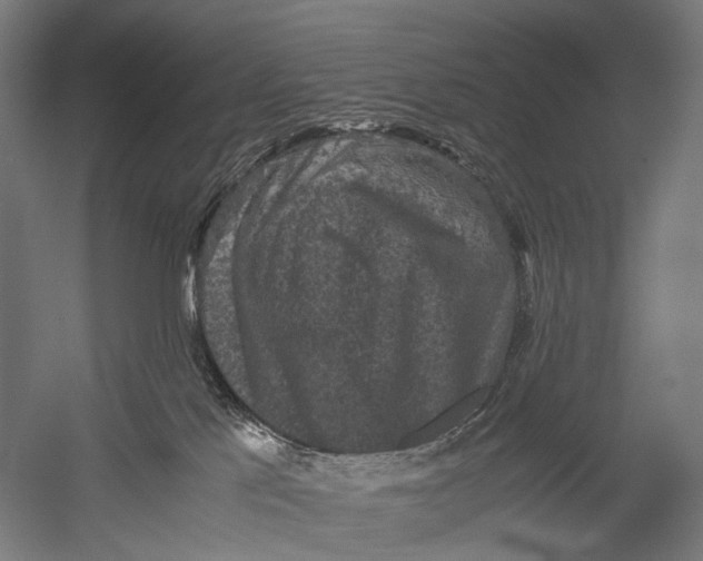 X0000052920041200507292337