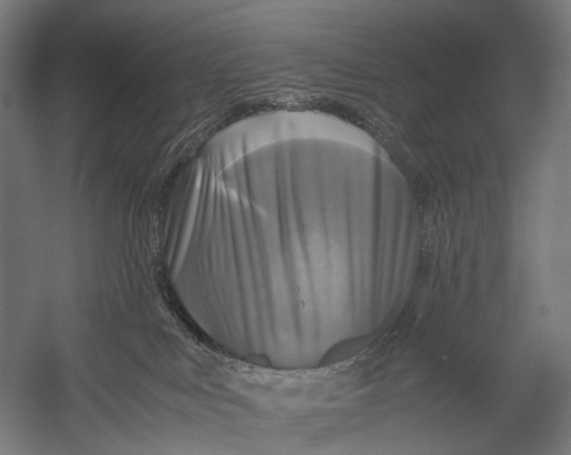 X0000052920043200507292337