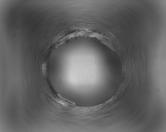 X0000052920045200507292337