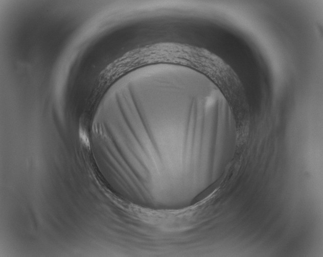 X0000052920047200507292337