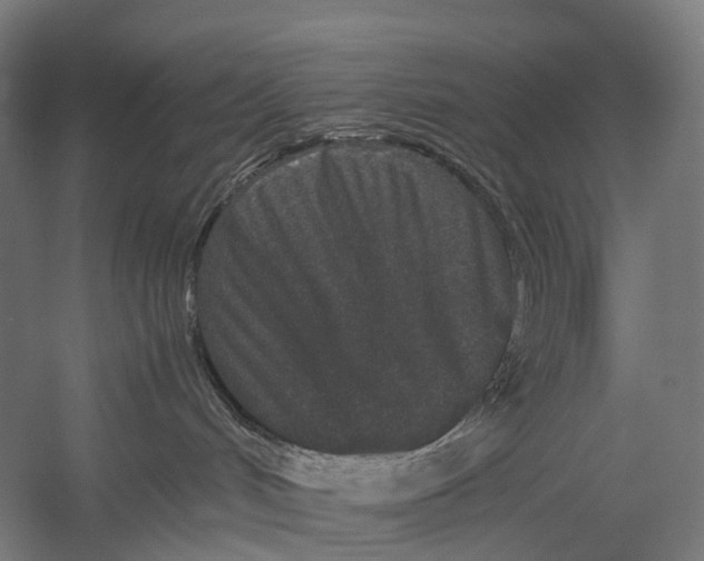 X0000052920048200507292337