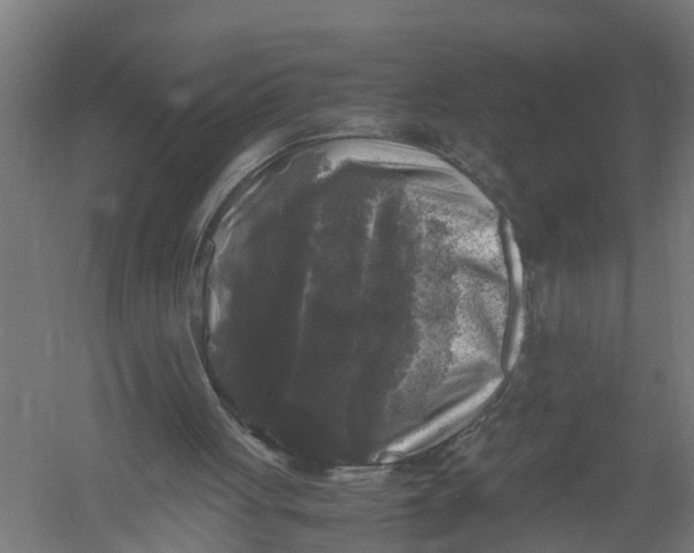 X0000052920051200507292336