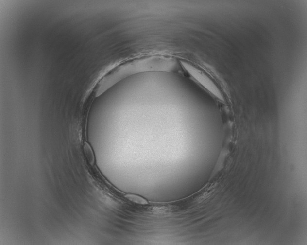 X0000052920060200507292337