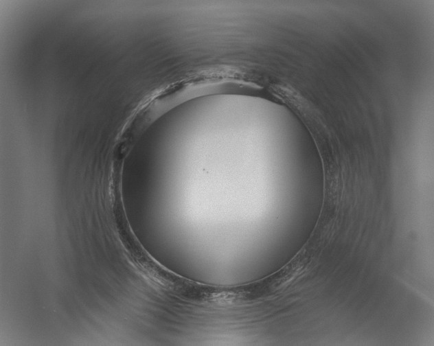 X0000052920064200507292337