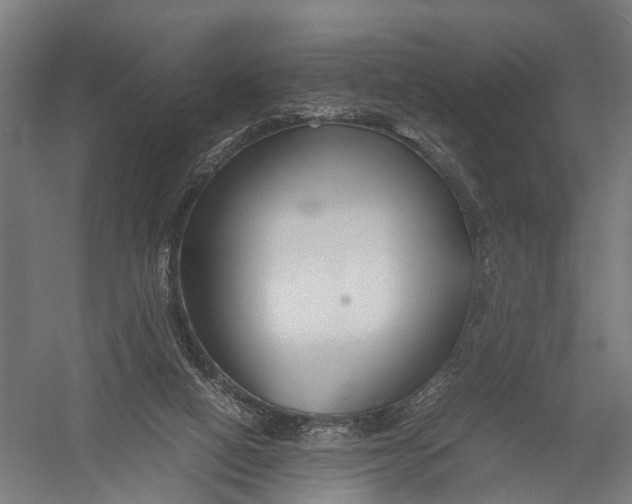 X0000052920066200507292337
