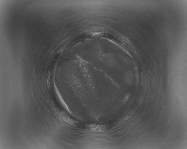 X0000052920073200507292337