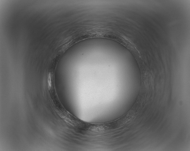 X0000052920075200507292337
