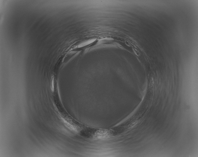 X0000052920076200507292337