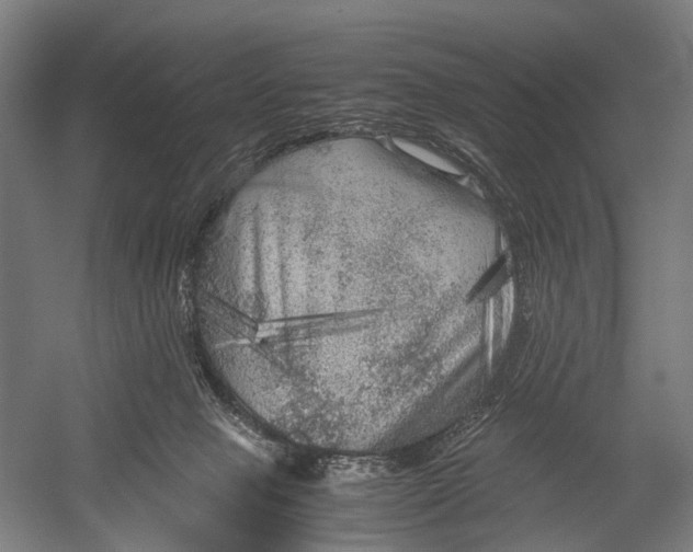 X0000052920077200507292337