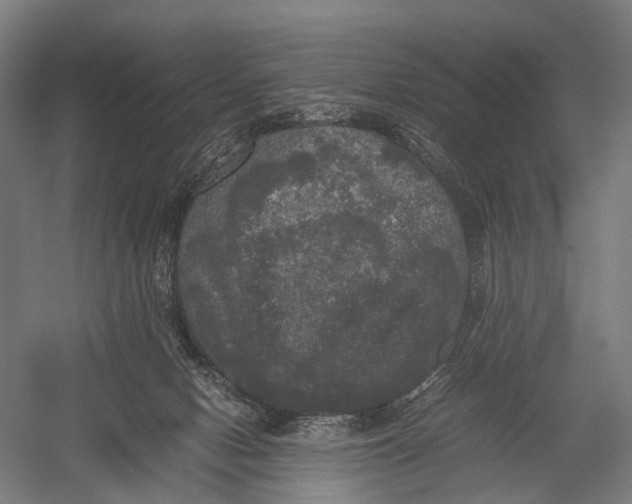 X0000052920078200507292337
