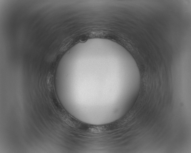 X0000052920079200507292337