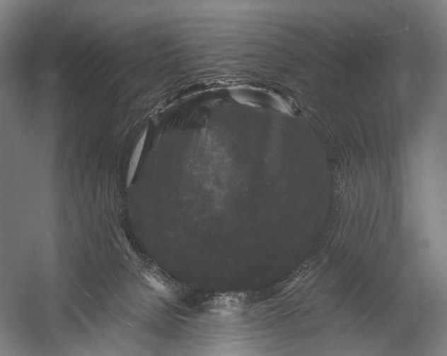 X0000052920080200507292337