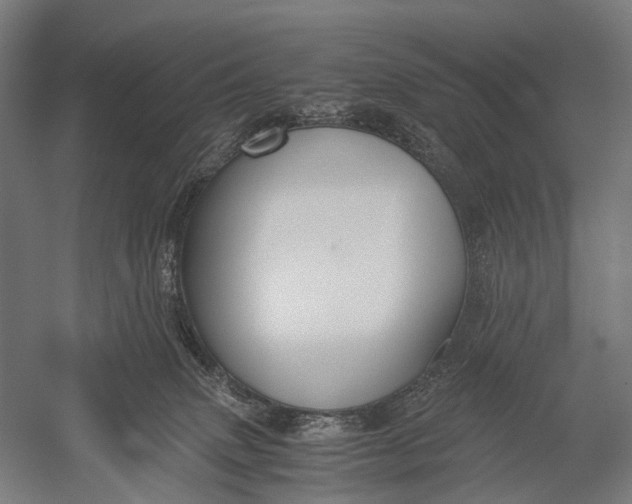 X0000052920083200507292337