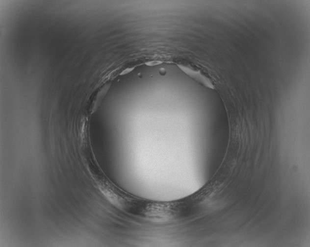 X0000052920084200507292337