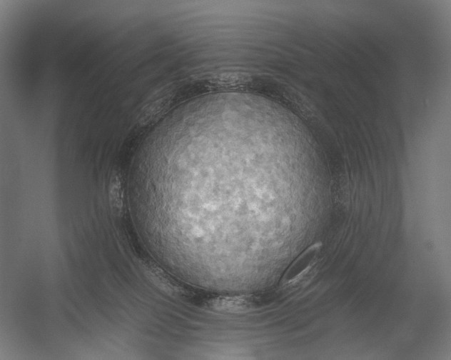 X0000052920086200507292337