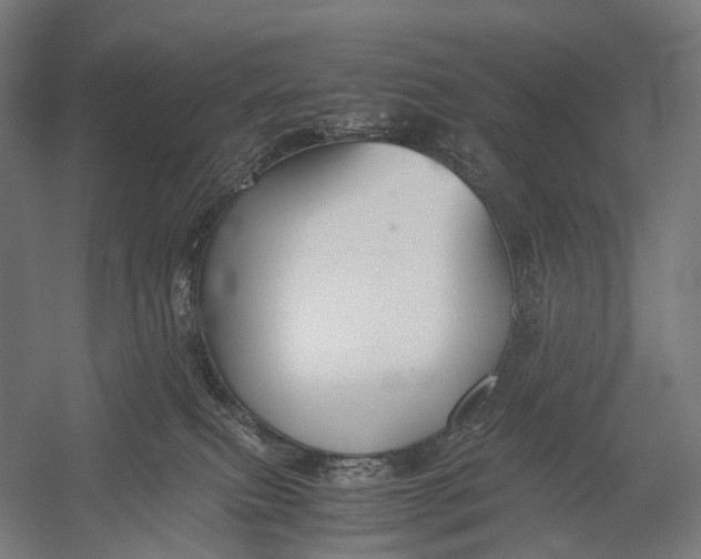 X0000052920087200507292337
