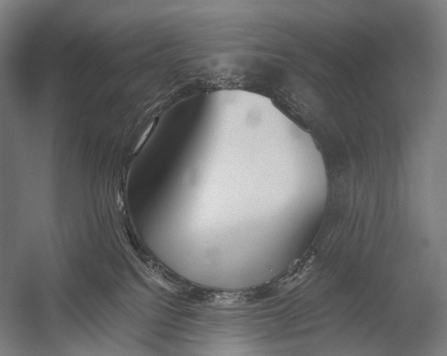 X0000052920088200507292337