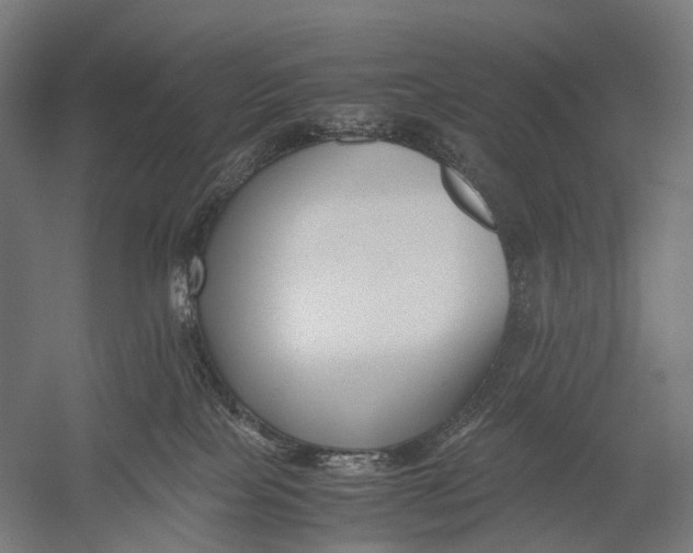 X0000052920089200507292337