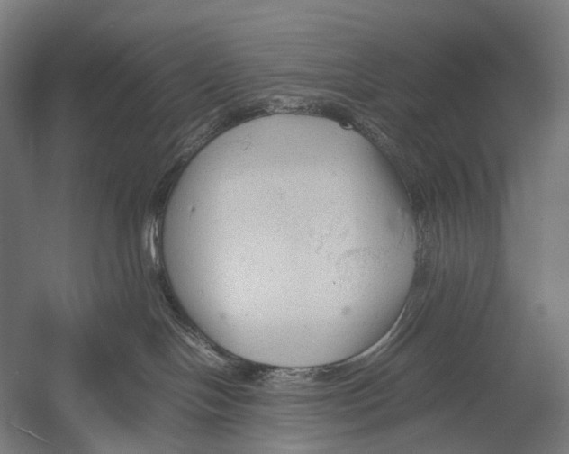 X0000052920094200507292337