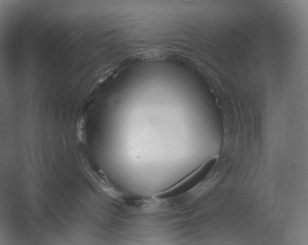 X0000052920096200507292337