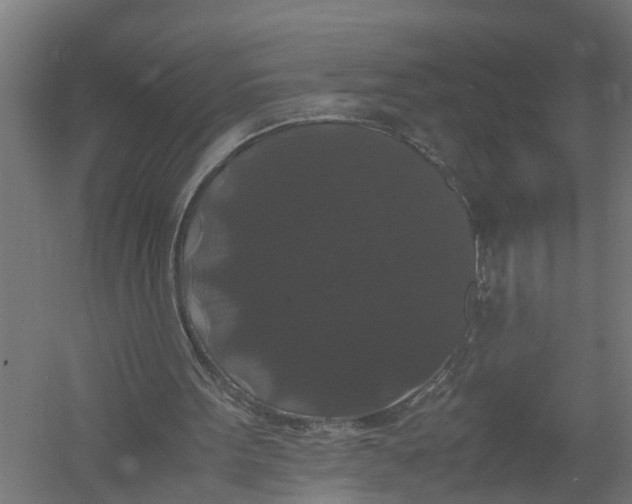 X0000052920099200507292336