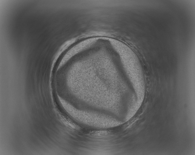 X0000052920104200507292336