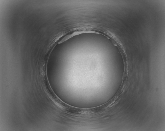X0000052920105200507292336