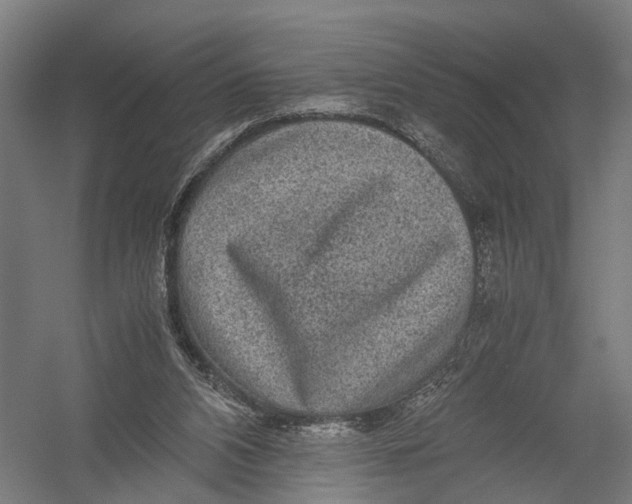 X0000052920112200507292336