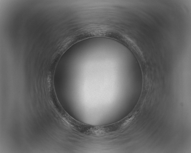 X0000052920113200507292336