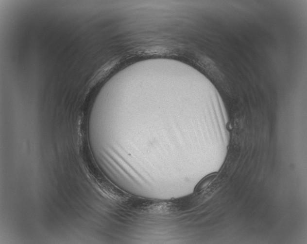 X0000052920116200507292336