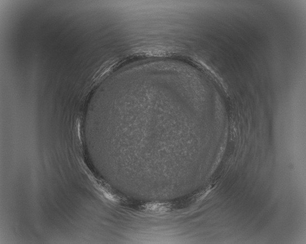 X0000052920117200507292336