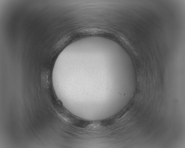 X0000052920119200507292336