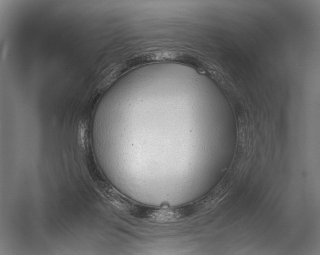 X0000052920123200507292336