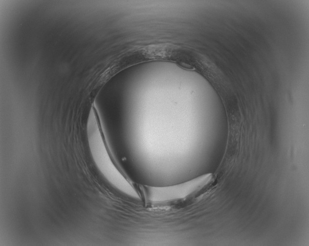 X0000052920125200507292336