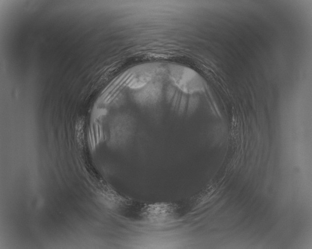 X0000052920127200507292336