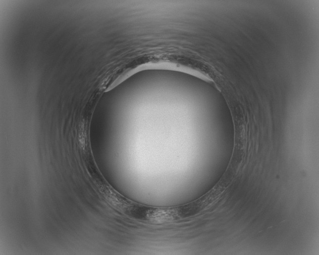 X0000052920129200507292336