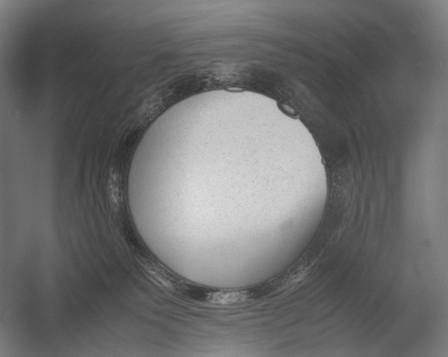 X0000052920135200507292336