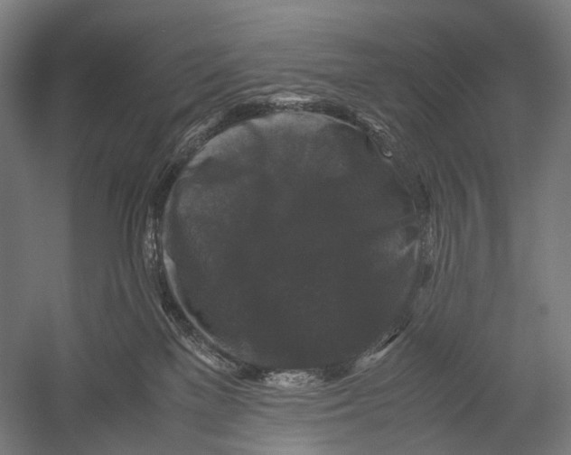 X0000052920137200507292336