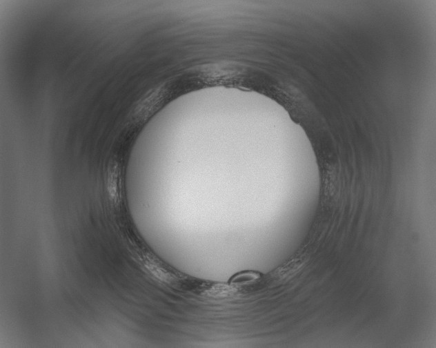 X0000052920138200507292336