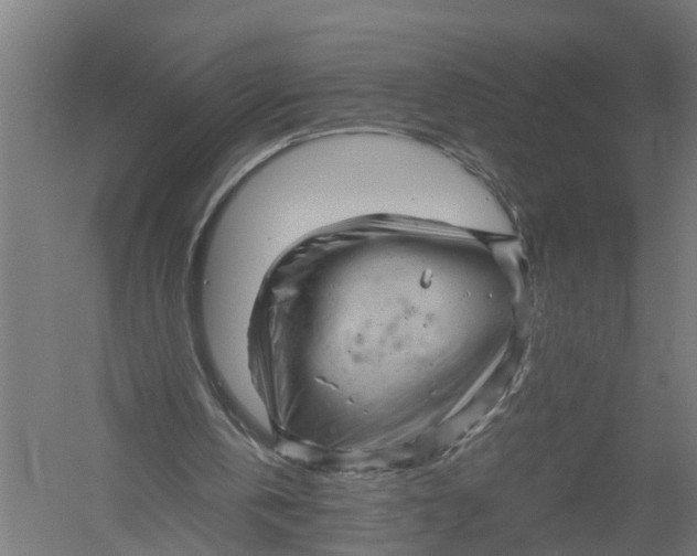 X0000052920146200507292335