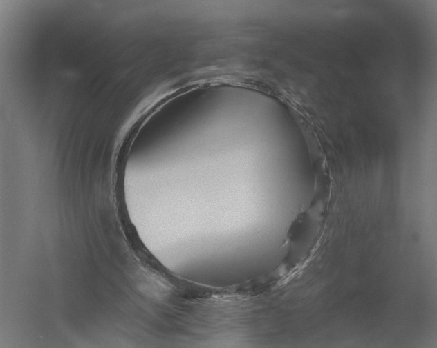 X0000052920150200507292335