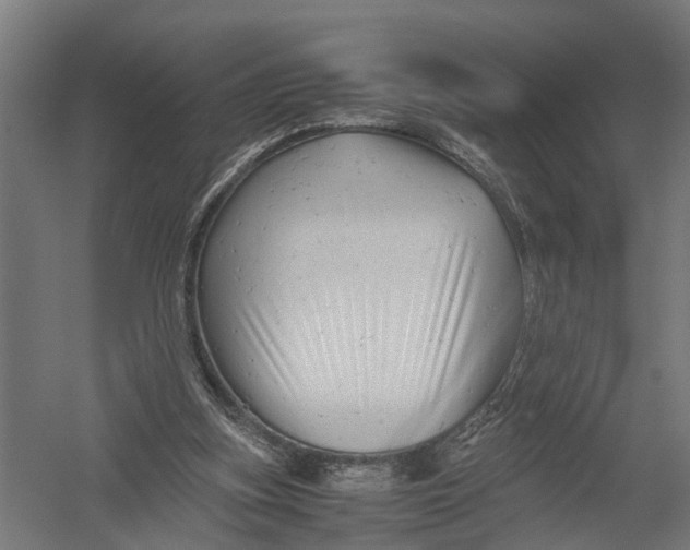 X0000052920155200507292335