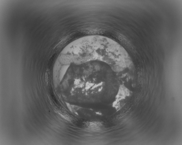 X0000052920165200507292335