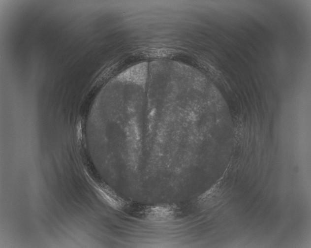 X0000052920166200507292335