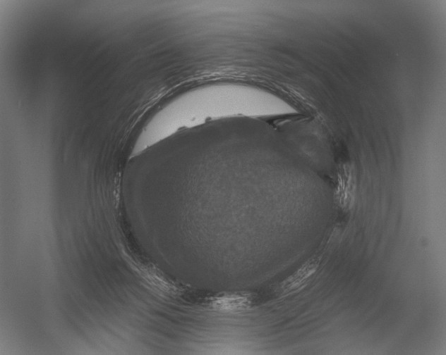 X0000052920168200507292335